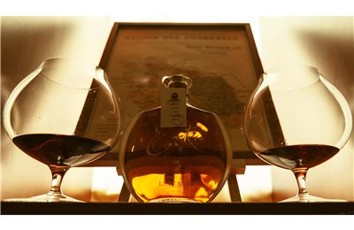col bt bg cognac embassy 012